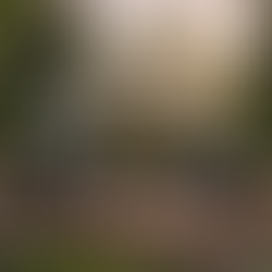 MSK Domes: Where Intelligent Design Meets Timeless Durability