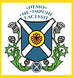 SAS logo.jpeg