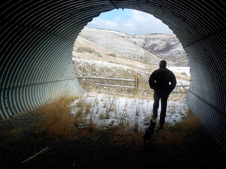 Chairman of Utah Wildlife Federation praises ongoing support for wildlife crossing efforts