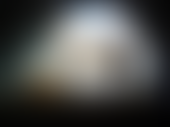 Chairman of Utah Wildlife Federation praises ongoing support for wildlife crossing efforts