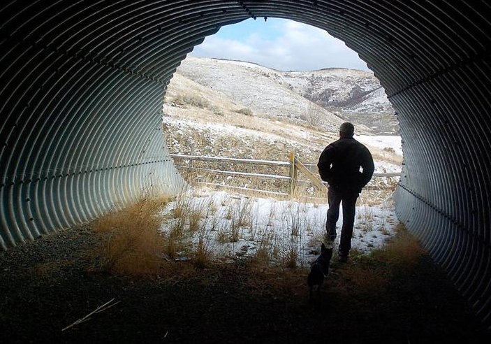 Conservation Officer Rick Schulze, of the Division of Wildlife Resources, stands in a tunnel running under the highway in Sardine Canyon in this 2007 file photo. The tunnels were built to provide deer a safer option to cross the highway.
