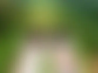 What the UN Decade of Sustainable Transport means, and why it matters