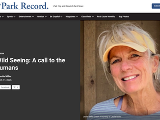 When the Wild Speaks, Are We Listening?