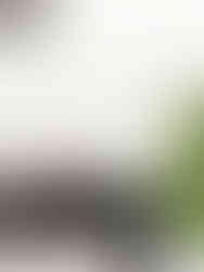 DIY accessoire kandelaar Stefan Studio Spa Washplate Interior