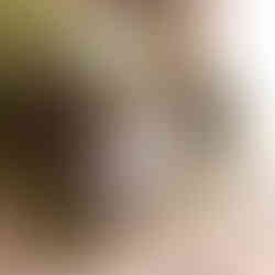 Natural Living Interieurtrends Woonboulevard Utrecht Washplate Interior