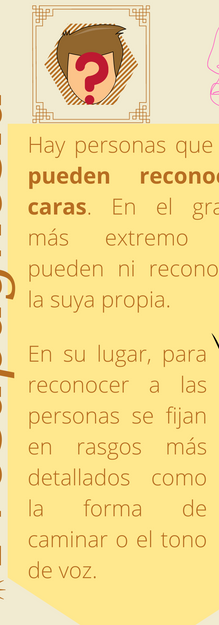 3 Prosapagnosia.png