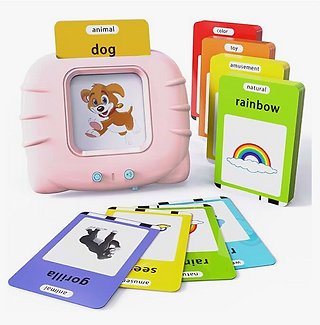 Educational Flash Card Learning Toy