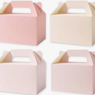 Light Pink Party Favor Boxes