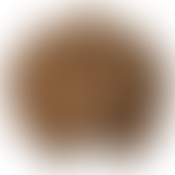 Brown Balloons for Cowboy First Rodeo Birthday Party