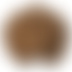 Brown Balloons for Cowboy First Rodeo Birthday Party