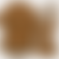 Brown Tableware Set for Bear Birthday Party