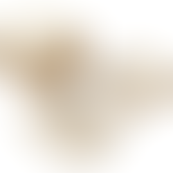 Scalloped Cream Napkins