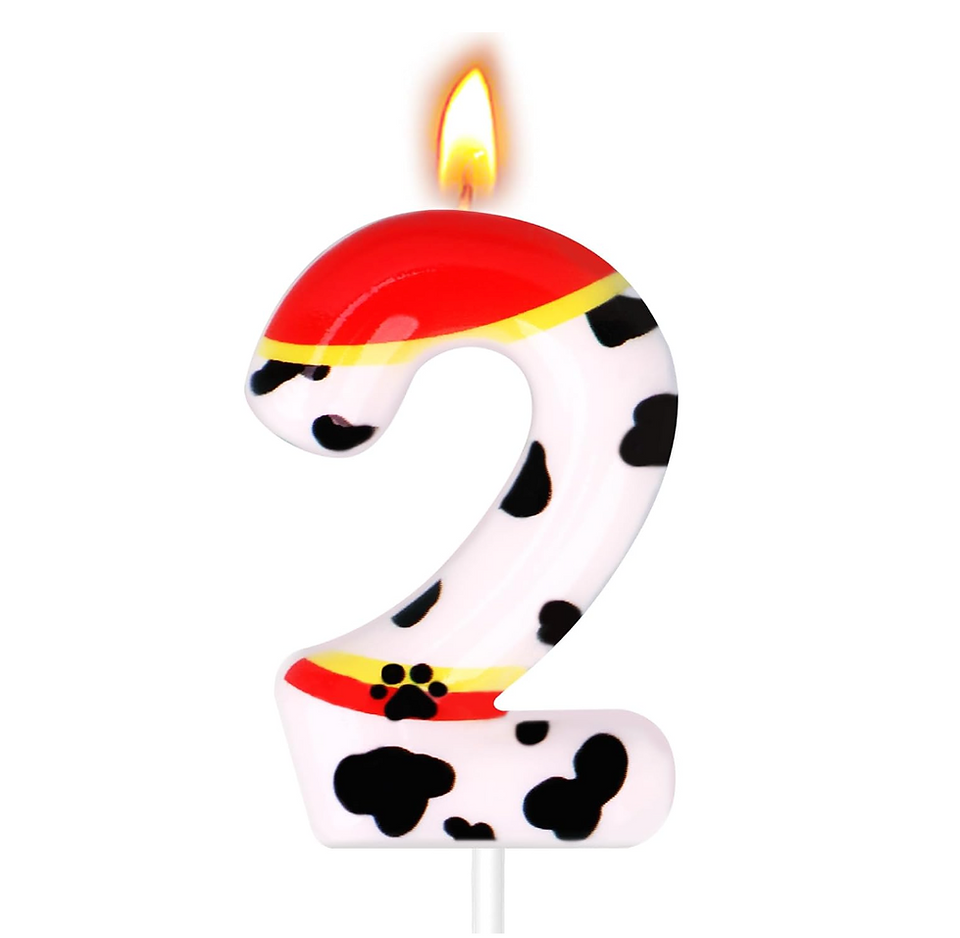 Paw Patrol Marshall Number 2 Birthday Candle