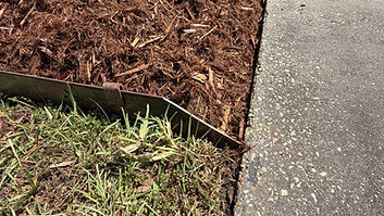 IMG_0791 (2).jpeg