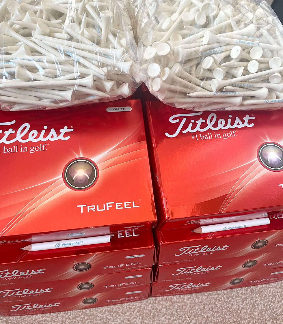 Westspring IT Balls Pens Tees.jpg