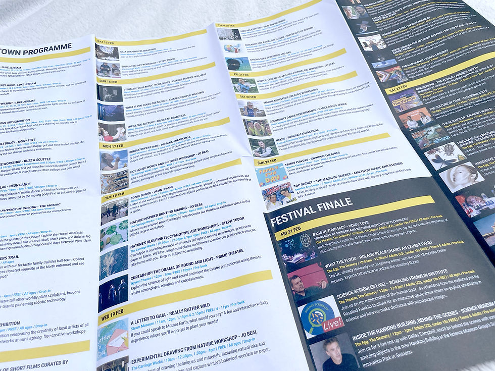 Unfolded Multi Fold Leaflet