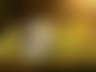 Algumas as práticas de sustentabilidade adotadas