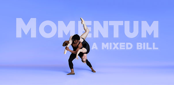 Momentum Banner 1.jpg