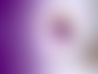 Stitching a New Nutcracker with Karissa and Clara