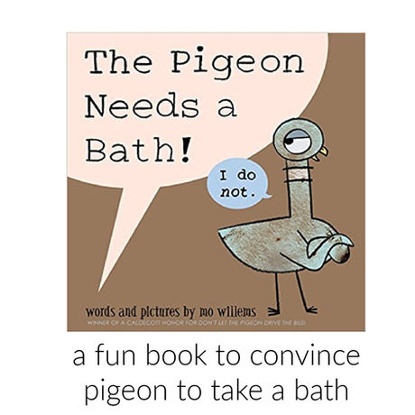 Bath Book Fun