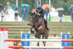 CHI Donaueschingen 2016