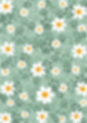 flowerpawpage.png