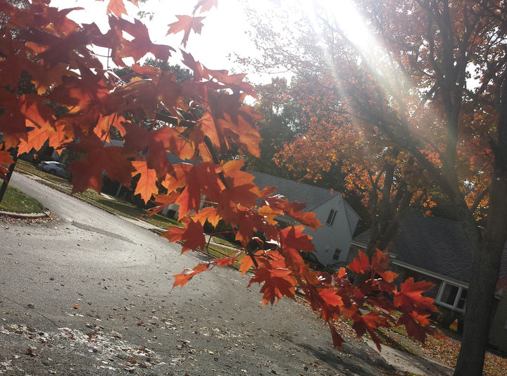 20151029_143759-2.jpg