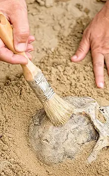 1030_SS_Archaeology.webp