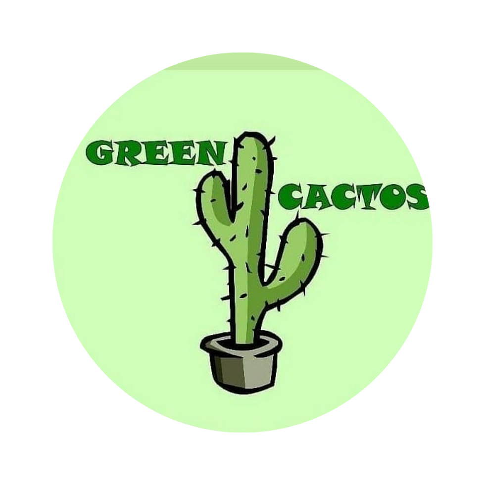 Escola Green Cactos