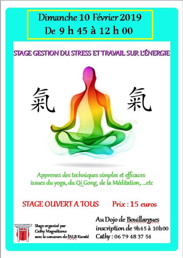 affiche stage zen fev 19 e.JPG