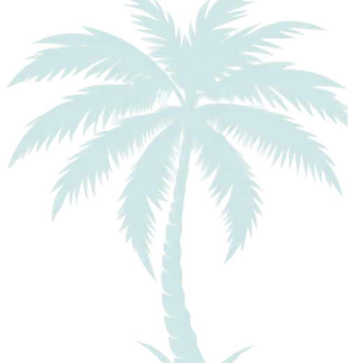 Untitled design (16).png
