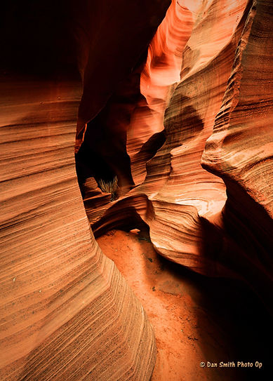 Rattlesnake Slot Canyon