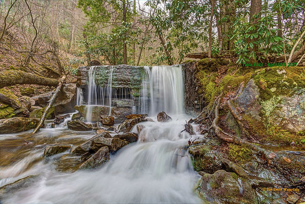 Quehanna Wild Area