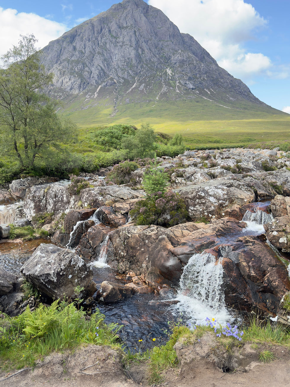 Close-up view of a traditional Scottish whisky bottle on a wooden table