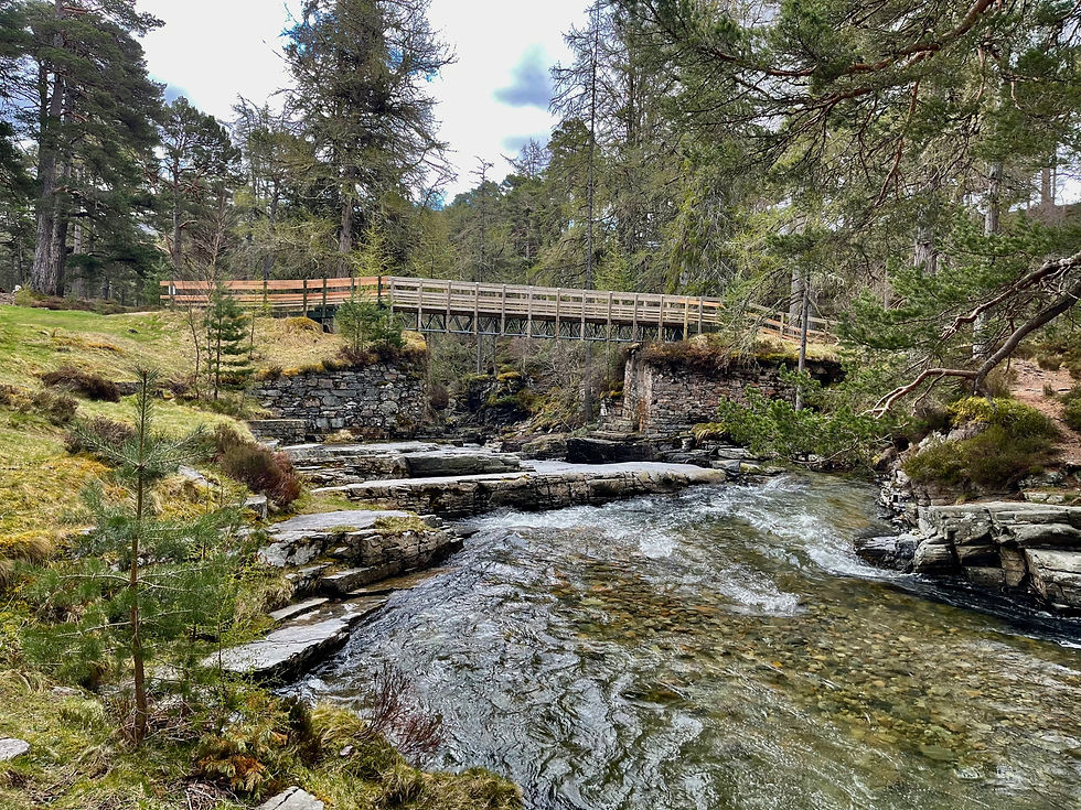 River dee flowing under a wooden bridge in a forest with tall trees. Mossy rocks and greenery create a serene, natural atmosphere. The devils punchbowl. Linn of Dee 