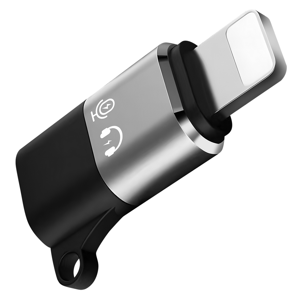 SGS SG-01 type-c Female/Lightning Male OTG Adapter
