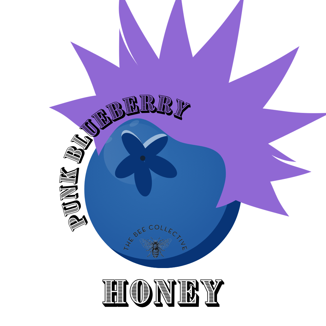 Punk Blueberry