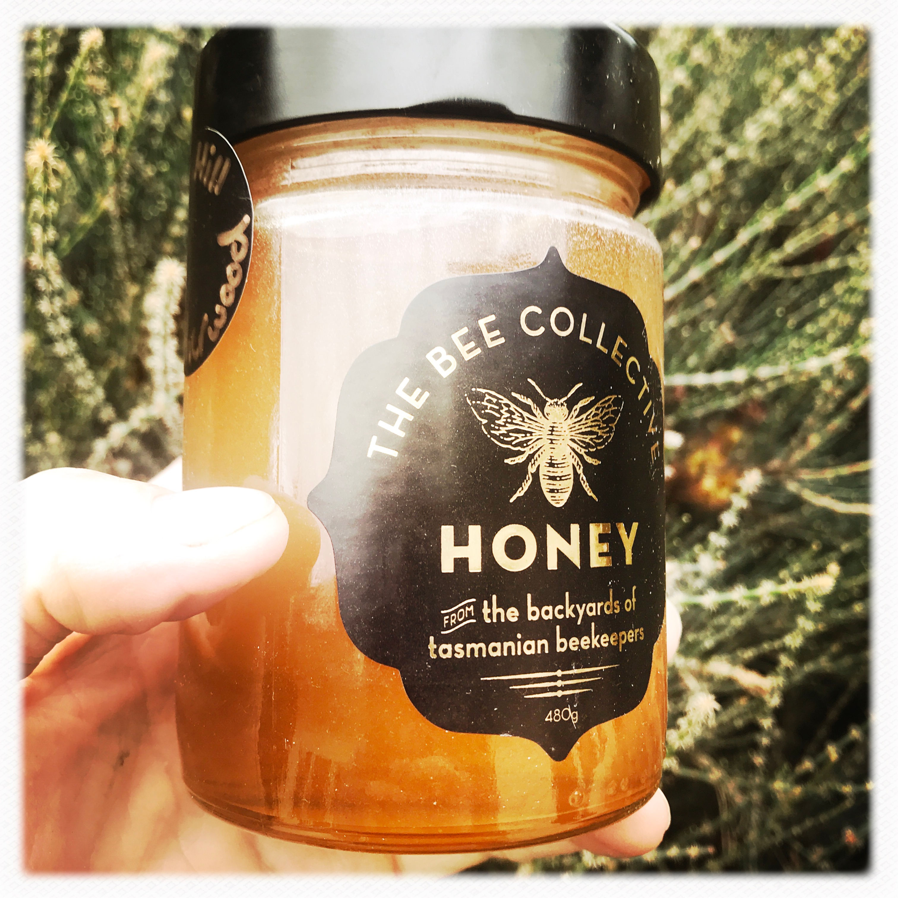 Leatherwood Honey