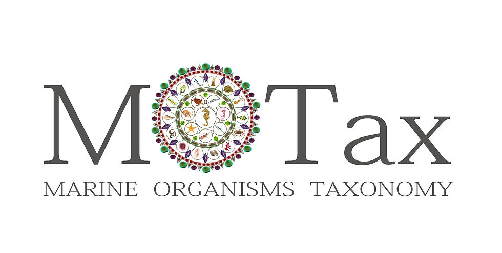 MOTAX