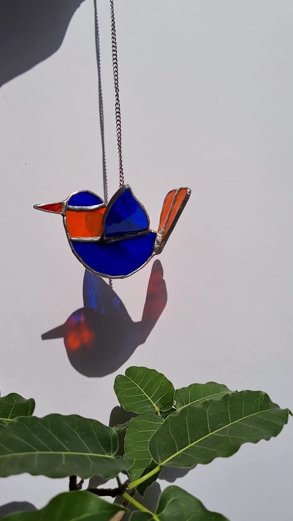 Thumbnail: Blue and Orange Bird