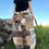 Thumbnail: Upcycled pants/ S-4XL/ adjustable waist/one of one 🐆