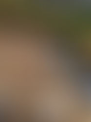 Caramel Popcorn Balls