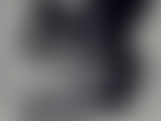 Hırsız (χayır - sız kimse)