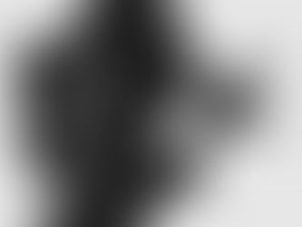 Özgürlüğün Kaybı