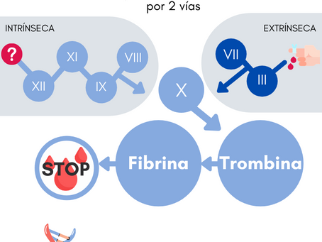Hemofilia: problemas de coagulación