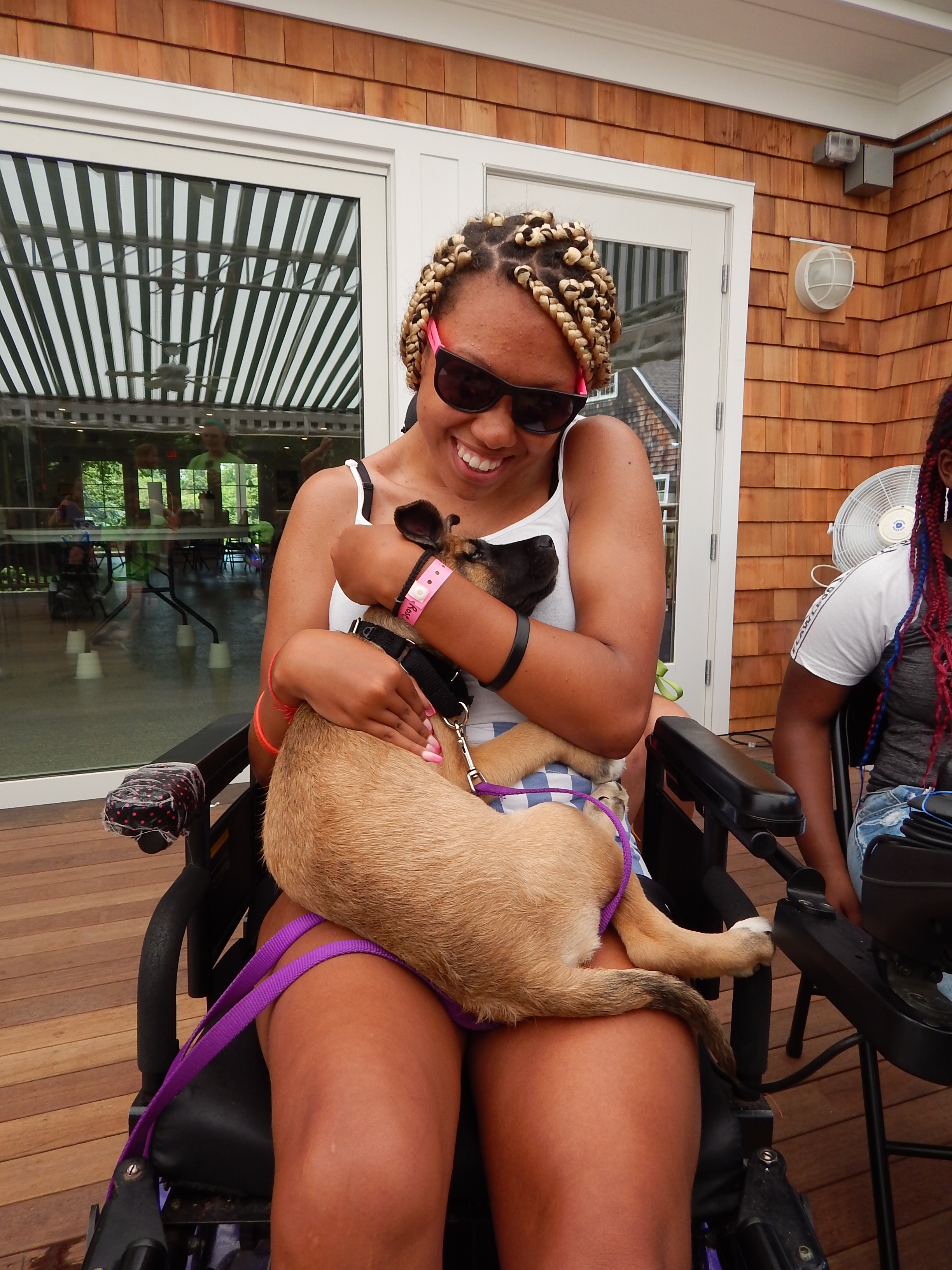 Animal Shelter Visit