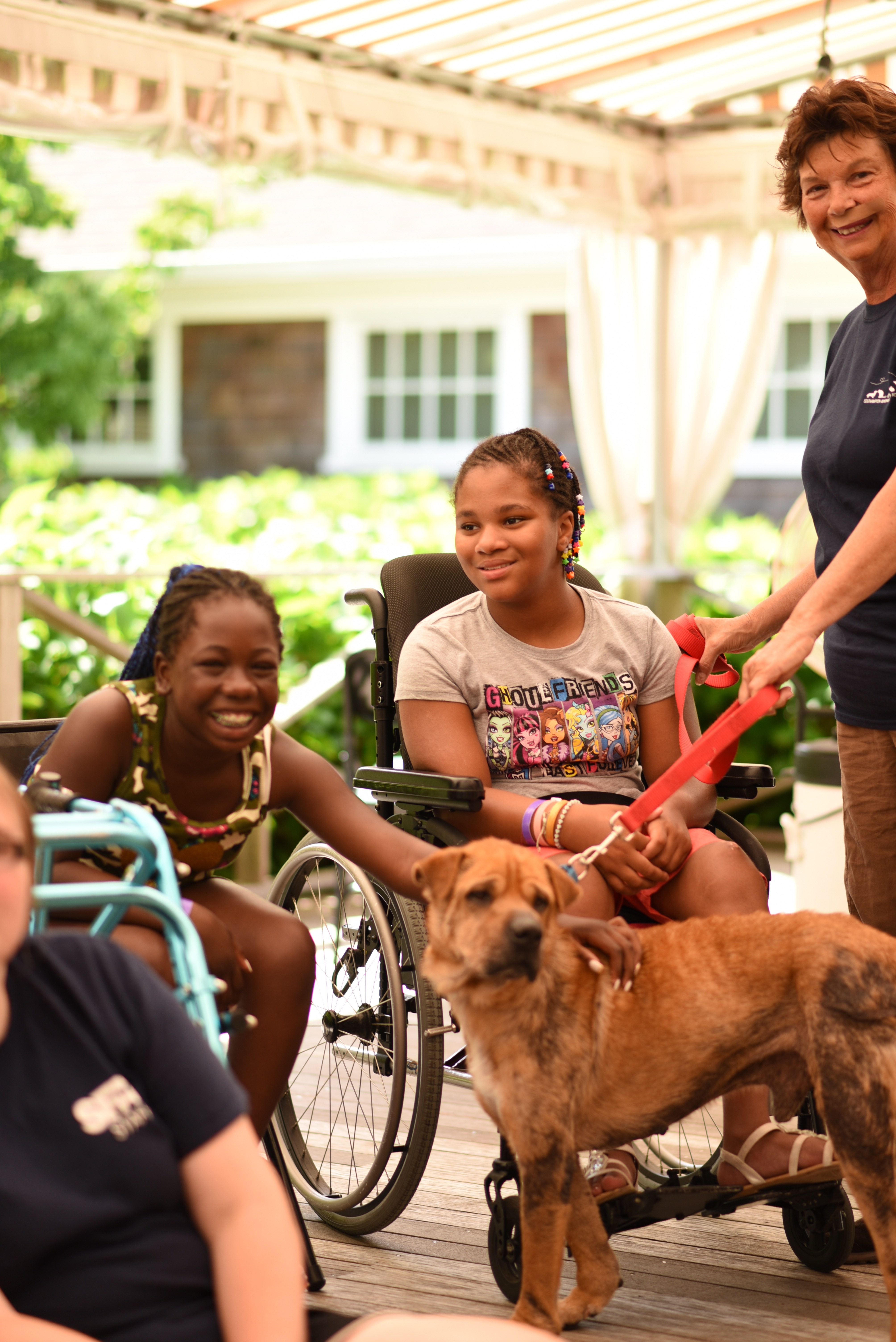 Animal Shelter Visit