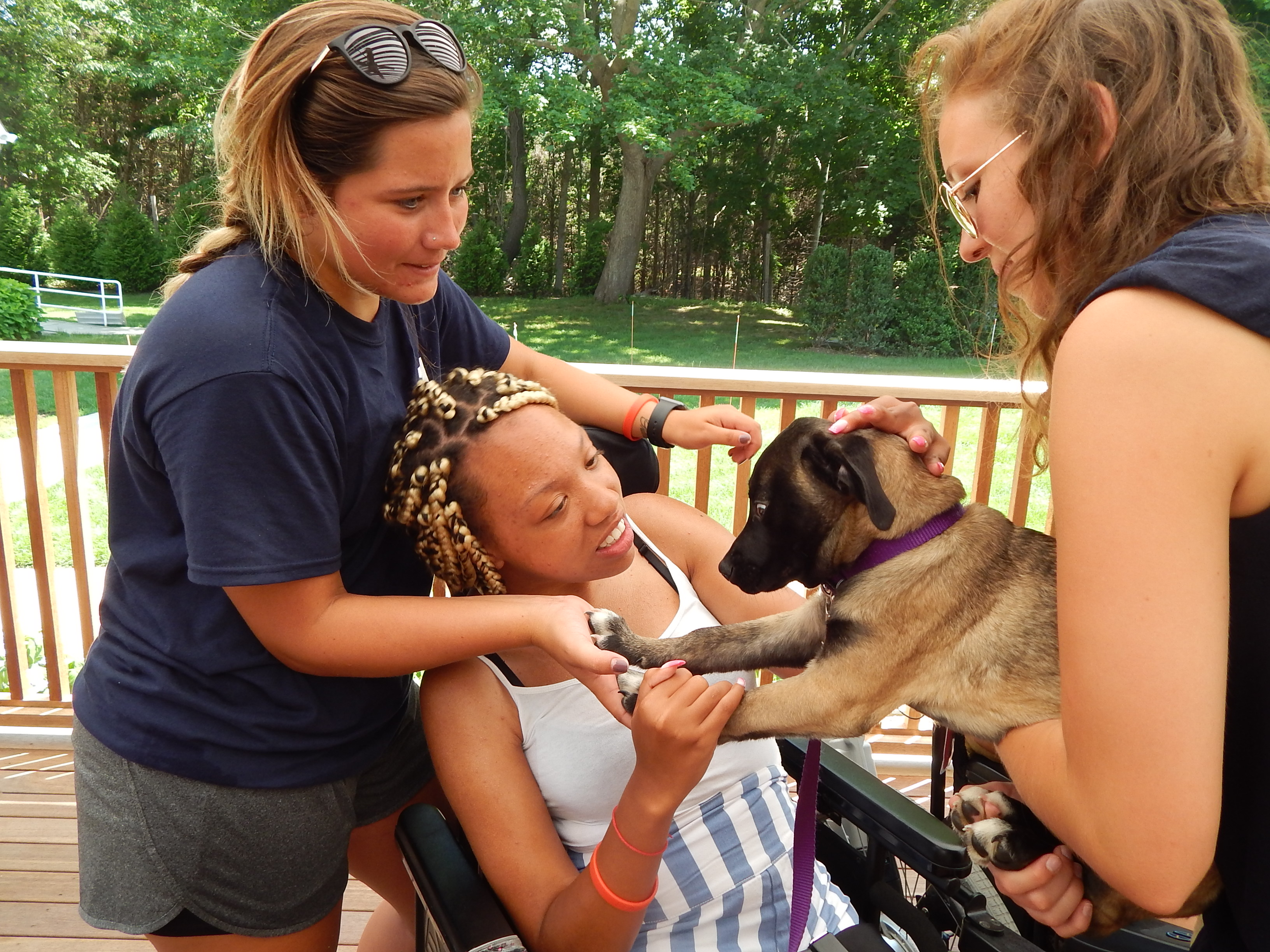 Animal shelter visit
