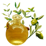 jojoba-oil-500x500_edited.png