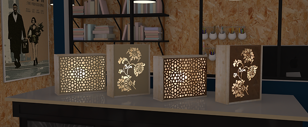 La lumière de la Lie 1